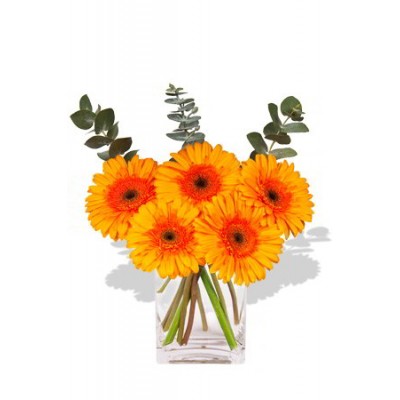 Small Gerbera Vase Bouquet